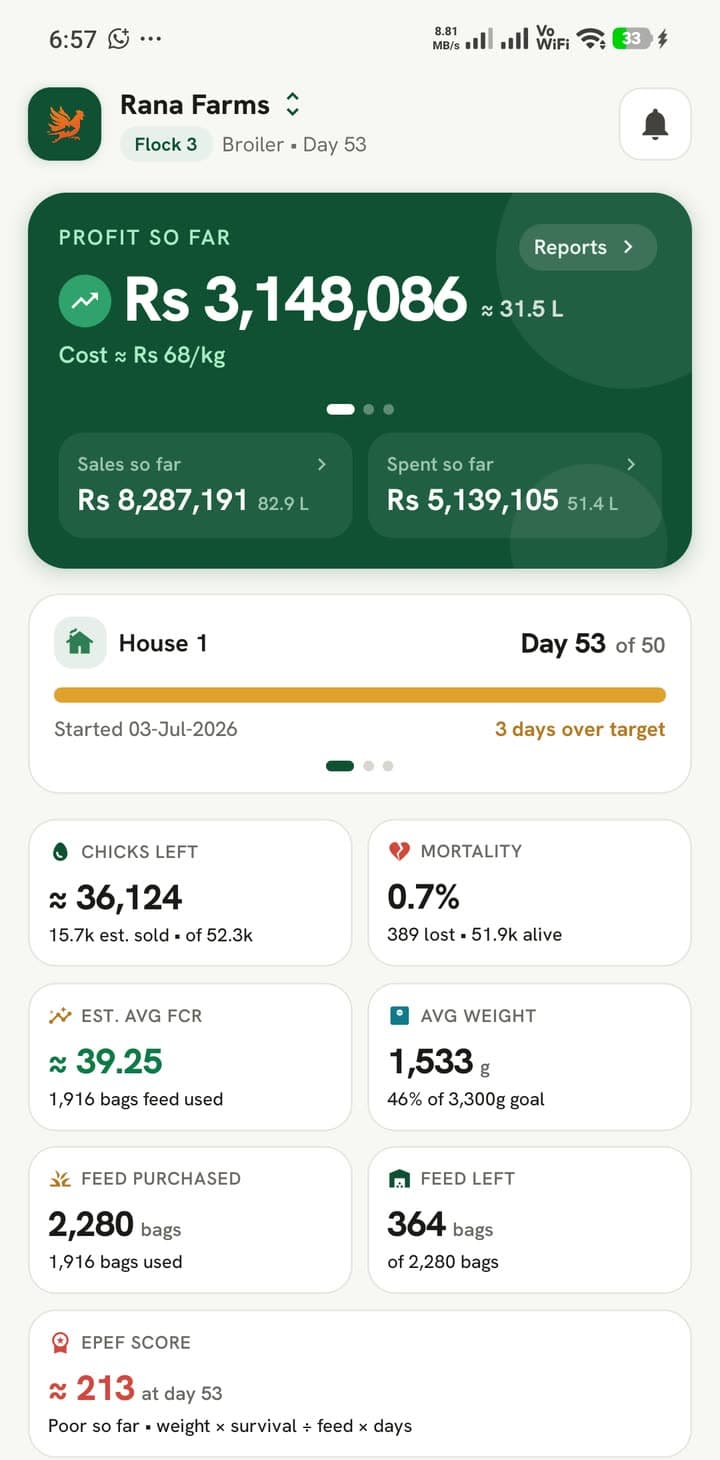 PoultryFast ایپ کی ہوم اسکرین: Rs 3,148,086 منافع، Day 53 of 50، 36,124 مرغیاں باقی، 0.7% اموات، FCR، اوسط وزن، فیڈ اور EPEF اسکور