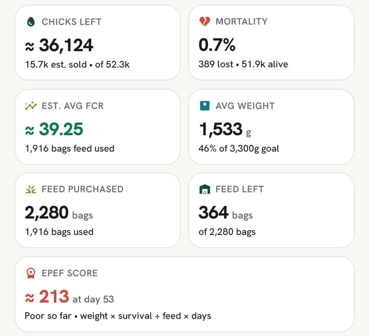 App ke KPI tiles: chicks left, mortality, est. avg FCR, avg weight, feed purchased, feed left aur EPEF score